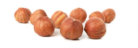 Pasta yapımında Kullanılan Fındık ürünleri nelerdir?