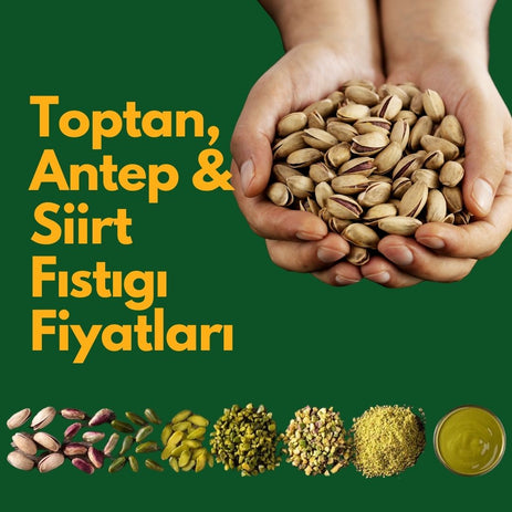 Toptan Antep ve Siirt Fıstığı Fiyatları 2025