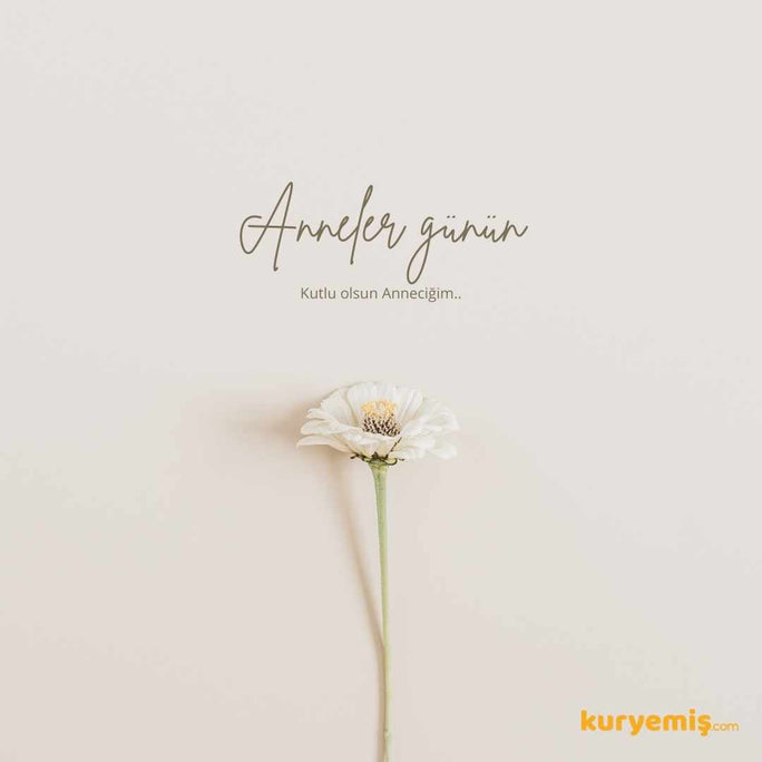 //kuryemis.myshopify.com/cdn/shop/files/kuruyemis-hediye-karti-355_684x752.jpg?v=1698133171